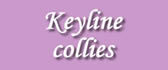 keyline collies